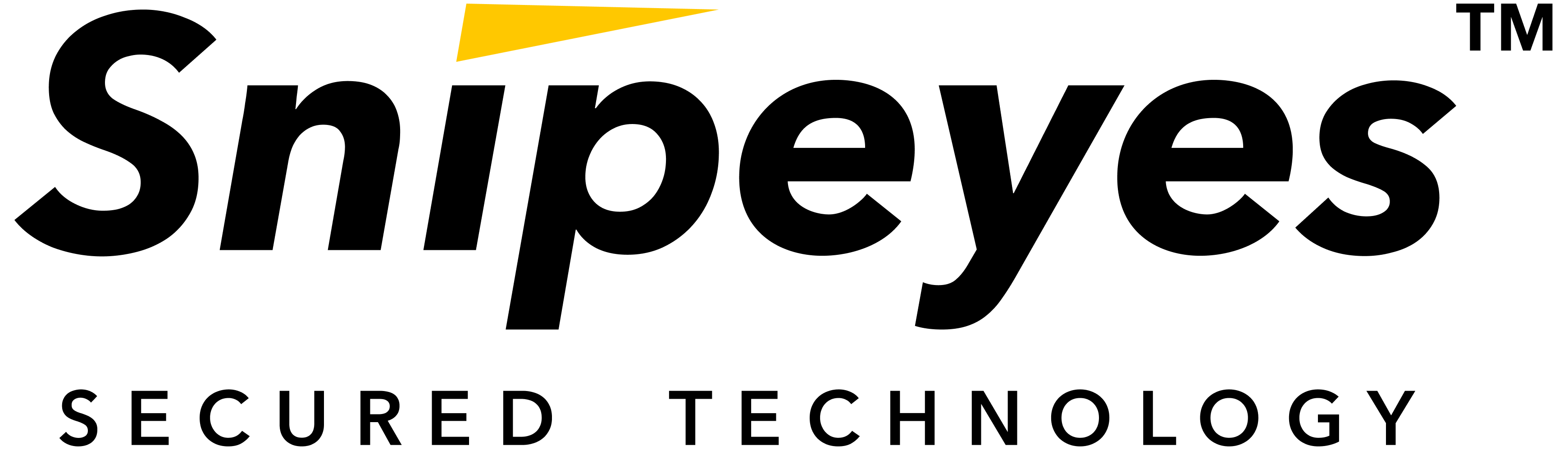 Logo Snipeyes, cybersecurity consulting Jakarta, Indonesia